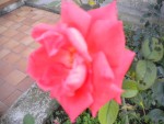DSCN5865.JPG