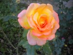 DSCN5864.JPG