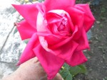 DSCN5863.JPG