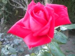 DSCN5862.JPG