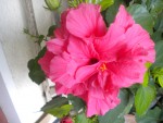DSCN5861.JPG