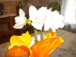DSCN5860.JPG
