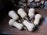 Butternut.jpg