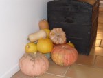Courges 2014 - 1.jpg
