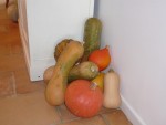 Courges 2014 - 2.jpg