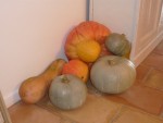 Courges 2014 - 3.jpg