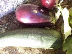 DSC04320.JPG