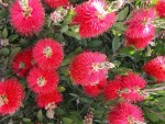 1Dscn00422.jpg