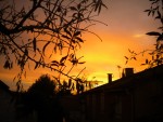 DSCN5871.JPG
