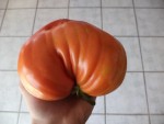 DSC04451.JPG