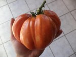 DSC04449.JPG