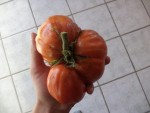 DSC04448.JPG