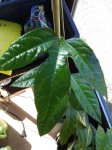 20141020_12205333.jpg
