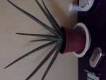 20141020_215751.jpg