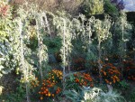 20140927_183349.jpg