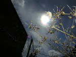 gic-automne00222_gd.jpg