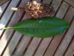 IMG-20141025-00738.jpg
