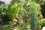 DSC08718.jpg