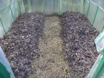 Paillage de feuilles mortes sur les cotés et paillage de l'allée centrale avec de la paille.