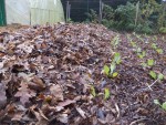 La couche fait environ 20-25 cm