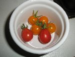 P8061838 bis.JPG