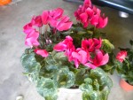 DSCN5882.JPG