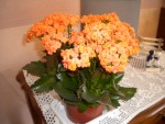 DSCN5877.JPG
