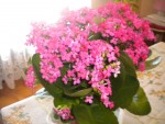 DSCN5878.JPG