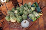 DSC02024.jpg