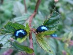 DSC01615.JPG