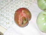 tomate.jpg