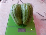 Une jumelle siamoise !!