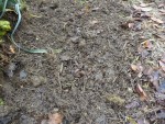 DSC04640.JPG