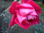 DSCN5892.JPG