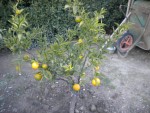 DSCN5910.JPG