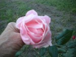 DSCN5914.JPG