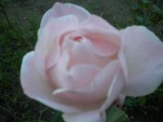 DSCN5913.JPG