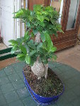 DSCN0836.JPG