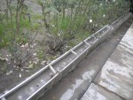 DSCN5920.JPG