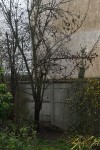 VBr2_D810034.jpg