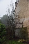 VBr1_D810034.jpg