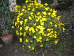 DSCN5943.JPG