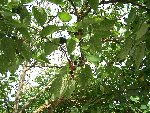 100_3970_1.JPG