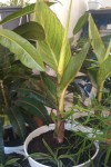 IMAG0542-b copy.jpg