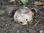 DSCF1807.JPG