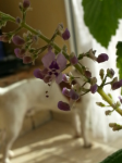 2015-01-13 14.41.11.png