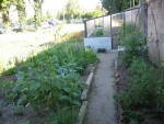 Serre jardin10.jpg