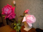 DSCN5964.JPG