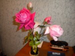 DSCN5965.JPG