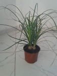 20150114_094644.jpg
